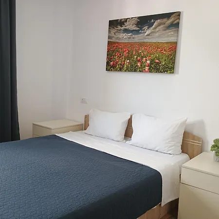 Clasificat - Cazare Grupuri Ap 2dormitoare Si Living - Vouchere, Factura, Petfriendly, Adminro Srl *